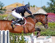 Apolloni Baby Arko GioCav2013 S5 1895 : Apolloni Gianluca, Baby Arko, Campionati Italiani Giovani Cavalli, Cattolica, ph Stefano Secchi ©